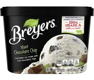 Breyers Mint Chocolate Chip