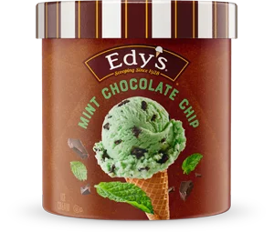 Edy’s Mint Chocolate Chip