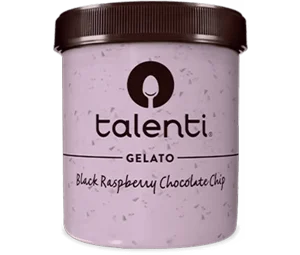 Talenti Black Raspberry Chocolate Chip Gelato
