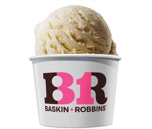 Baskin Robbins Vanilla Ice Cream