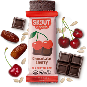 Skout Organic Chocolate Cherry Protein Bar
