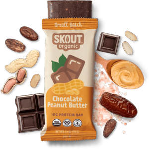Skout Organic Chocolate Peanut Butter Protein Bar