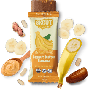 Skout Organic Peanut Butter Banana Protein Bar