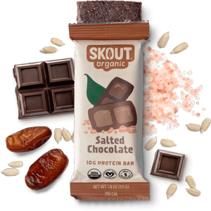 Skout Organic Salted Chocolate Protein Bar