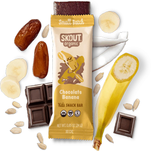 Skout Organic Chocolate Banana Kids Bar