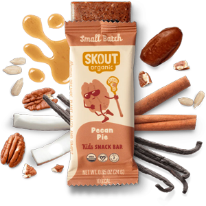 Skout Organic Pecan Pie Kids Bar