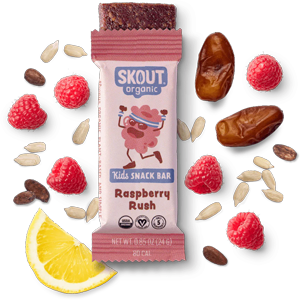 Skout Organic Raspberry Rush Kids Bar