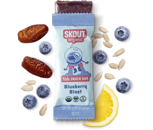Skout Organic Blueberry Blast Kids Bar