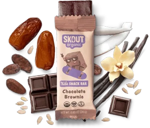 Skout Organic Chocolate Brownie Kids Bar