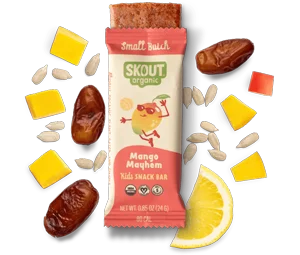 Skout Organic Mango Mayhem Kids Bar