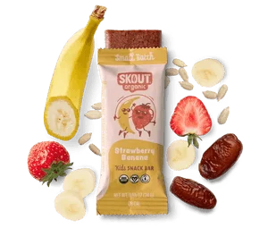 Skout Organic Strawberry Banana Kids Bar