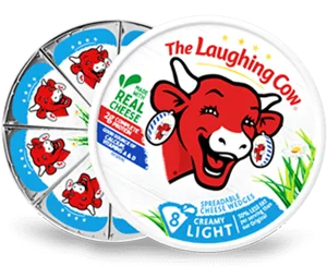 The Laughing Cow Creamy Light