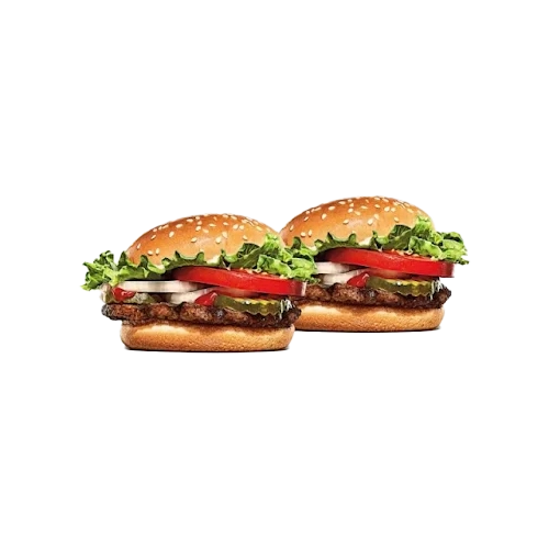 Burger King Whopper® Patties & Hamburger Patties